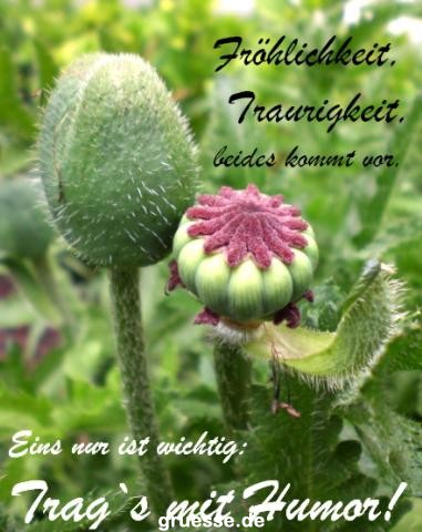 grusskarte-Traumschiff-Nachdenkliches-k_003