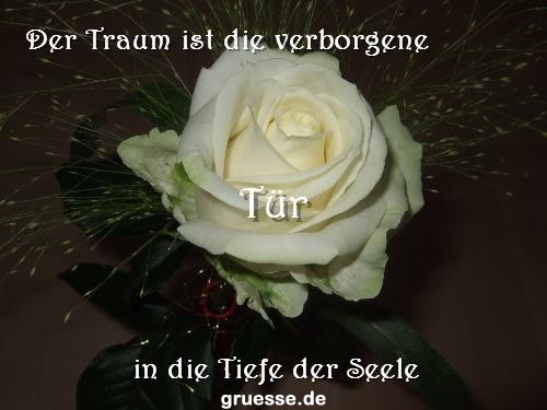 grusskarte-Traumschiff-Nachdenkliches-k_005