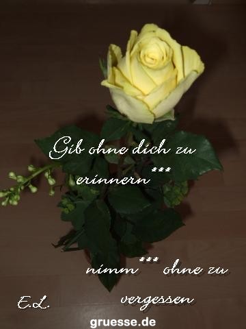 grusskarte-Traumschiff-Nachdenkliches-k_009