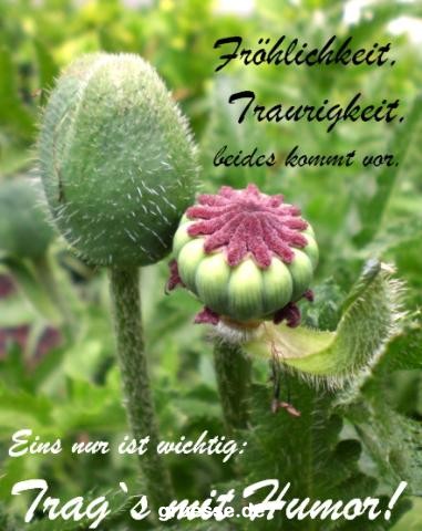 grusskarte-Traumschiff-Nachdenkliches_003