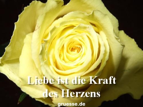 grusskarte-Traumschiff-Netter_Spruch-k_006