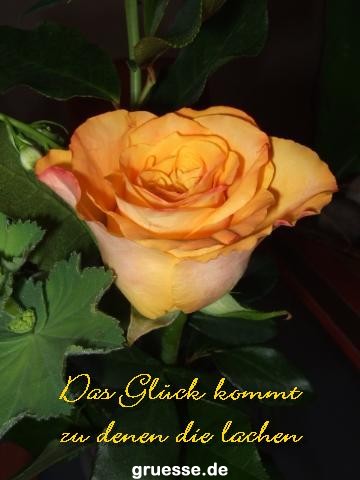 grusskarte-Traumschiff-Netter_Spruch-k_007