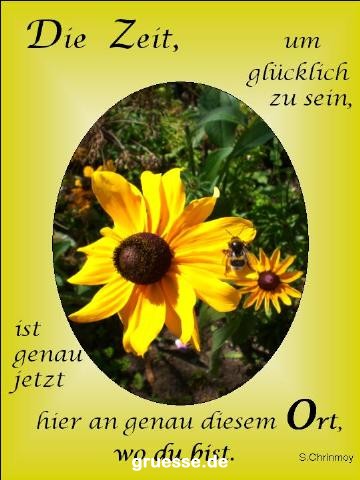 grusskarte-Traumschiff-Netter_Spruch_003