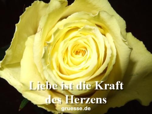 grusskarte-Traumschiff-Netter_Spruch_006