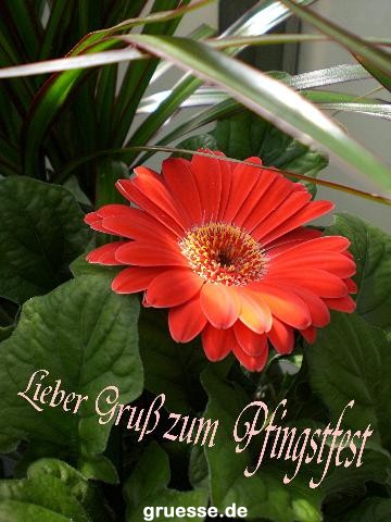 grusskarte-Festtage-Pfingsten-k_006