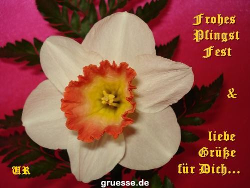grusskarte-Festtage-Pfingsten-k_007