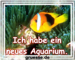 grusskarte-diverses-bekanntmachungen-k_001