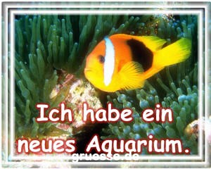 grusskarte-diverses-bekanntmachungen_001