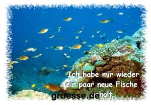 grusskarte-diverses-bekanntmachungen_002