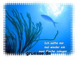 grusskarte-diverses-bekanntmachungen_003