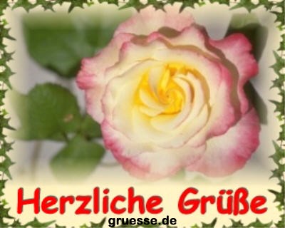 grusskarte-diverses-blumen-k_002