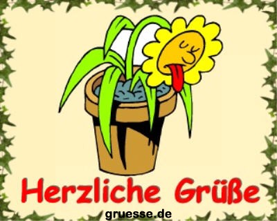 grusskarte-diverses-blumen-k_004