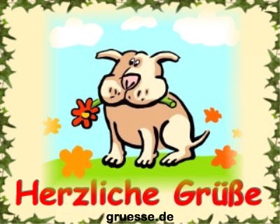 grusskarte-diverses-blumen-k_019