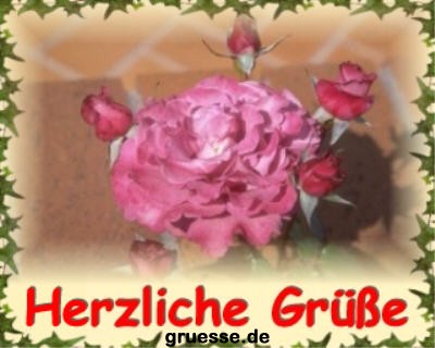 grusskarte-diverses-blumen-k_023