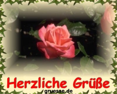 grusskarte-diverses-blumen-k_024