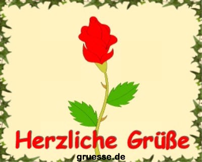 grusskarte-diverses-blumen-k_025