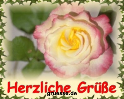 grusskarte-diverses-blumen_002