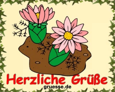 grusskarte-diverses-blumen_018