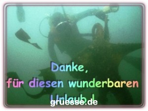 grusskarte-diverses-danke_005
