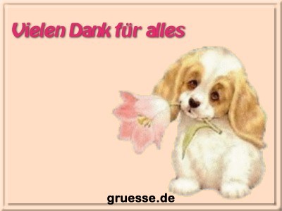 grusskarte-diverses-danke_031