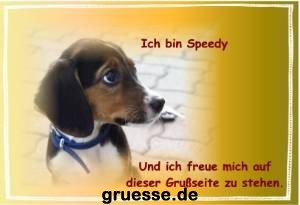 grusskarte-diverses-tiere-k_001