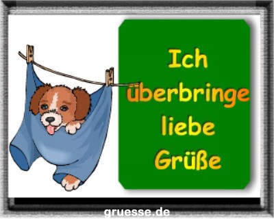 grusskarte-diverses-tiere-k_005