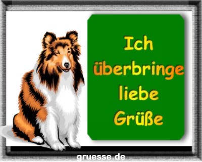 grusskarte-diverses-tiere-k_015