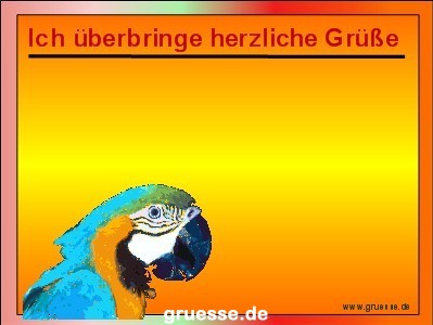 grusskarte-diverses-tiere-k_034