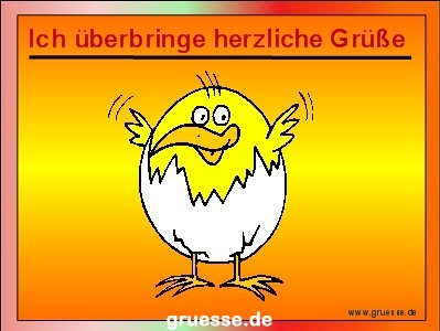 grusskarte-diverses-tiere-k_037