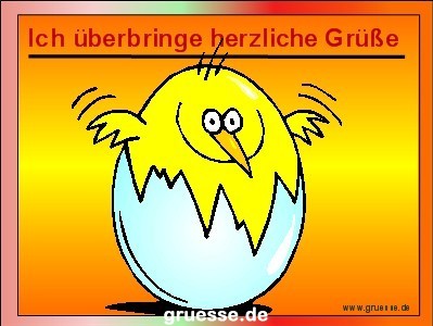 grusskarte-diverses-tiere-k_040