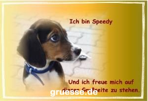 grusskarte-diverses-tiere_001