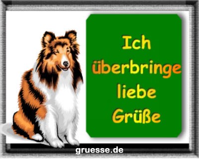 grusskarte-diverses-tiere_015