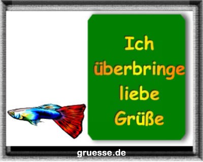 grusskarte-diverses-tiere_020