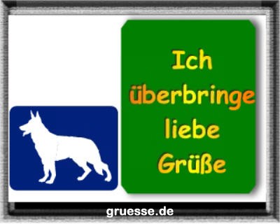 grusskarte-diverses-tiere_022