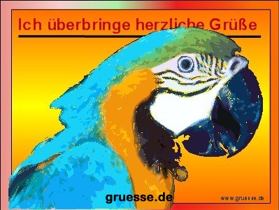 grusskarte-diverses-tiere_025