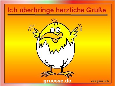 grusskarte-diverses-tiere_037