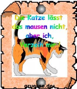 grusskarte-diverses-verzeihung-k_009