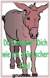 grusskarte-diverses-verzeihung-k_017