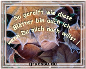 grusskarte-diverses-verzeihung_002