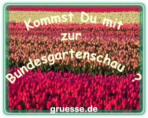 grusskarte-einladung-diverses_004