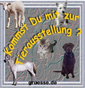 grusskarte-einladung-diverses_012