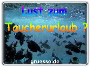 grusskarte-einladung-reisen_005