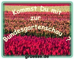 grusskarte-einladungen-diverses-k_004