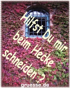 grusskarte-einladungen-diverses_007