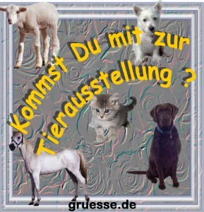 grusskarte-einladungen-diverses_012