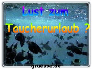 grusskarte-einladungen-reisen-k_005