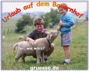 grusskarte-einladungen-reisen_002