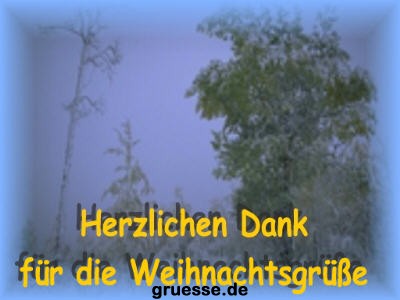 grusskarte-festtage-weihnachten-danke-k_005