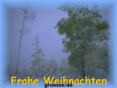 grusskarte-festtage-weihnachten-fotos-k_006