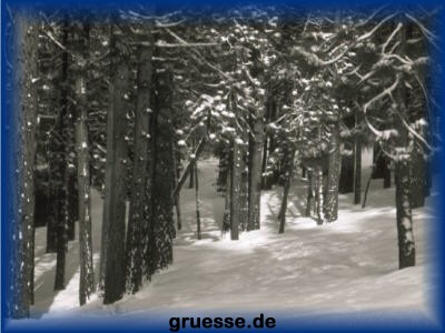 grusskarte-festtage-weihnachten-fotos-k_011